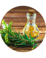 Tea Tree Oil