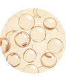 Ceramide