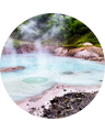 Sulphur Spring Extract